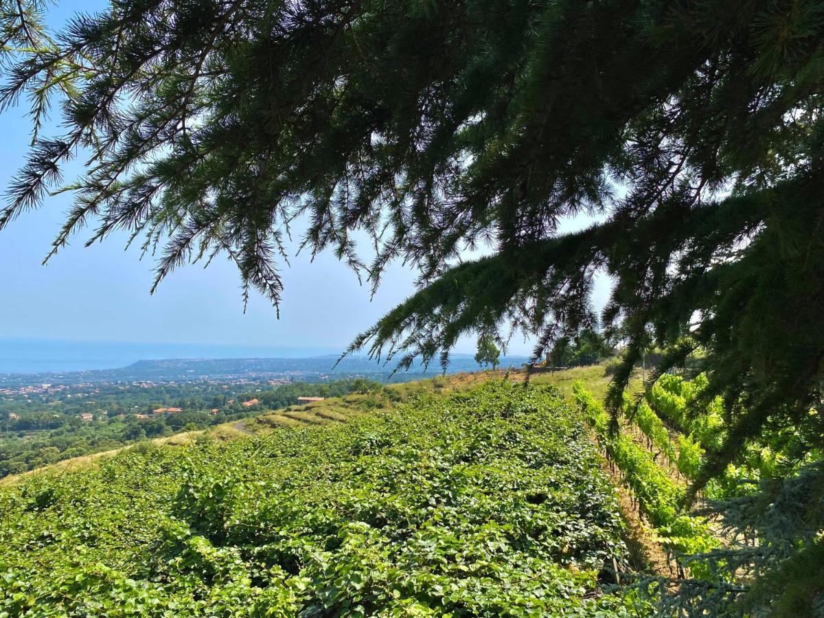 Tenuta Kiwi Dell'Etna Milo Exteriér fotografie