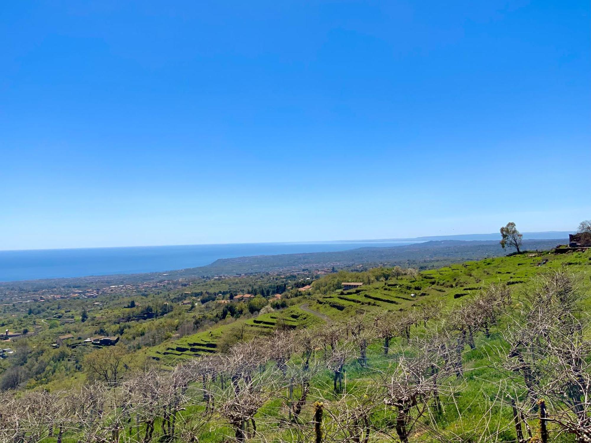 Tenuta Kiwi Dell'Etna Milo Exteriér fotografie