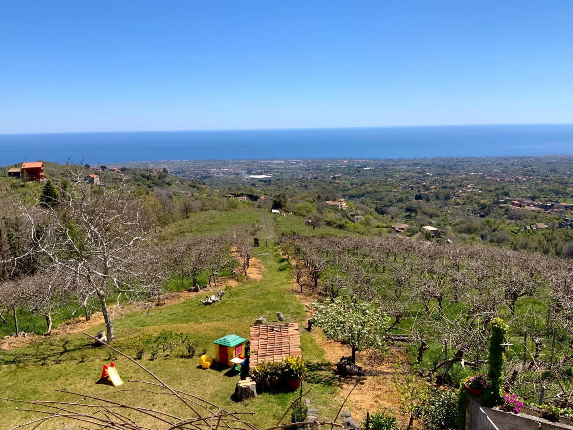 Tenuta Kiwi Dell'Etna Milo Exteriér fotografie