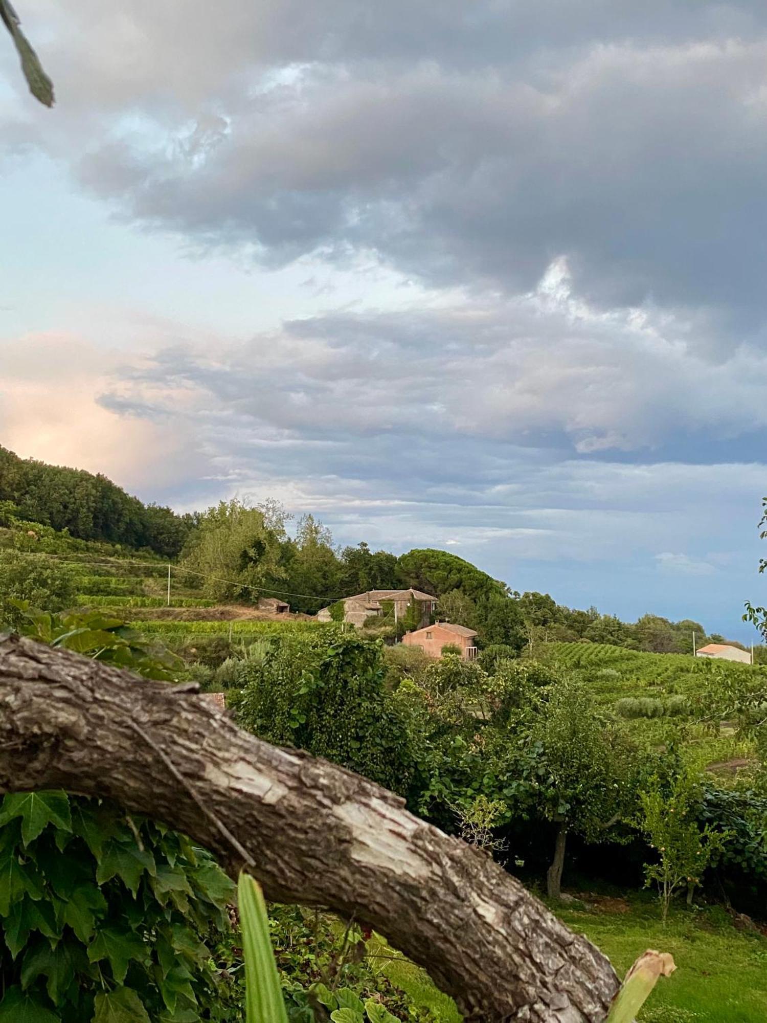 Tenuta Kiwi Dell'Etna Milo Exteriér fotografie